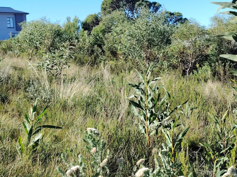 0 Bedroom Property for Sale in Robberg Ridge Western Cape